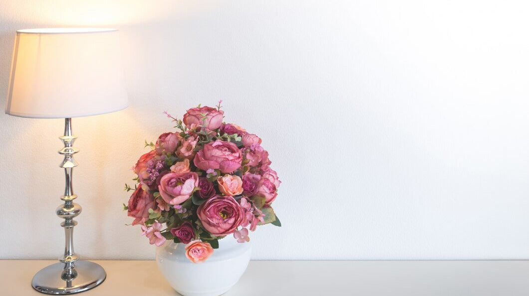 Stunning Indoor Plants that you need for your home decor! - Uniflora