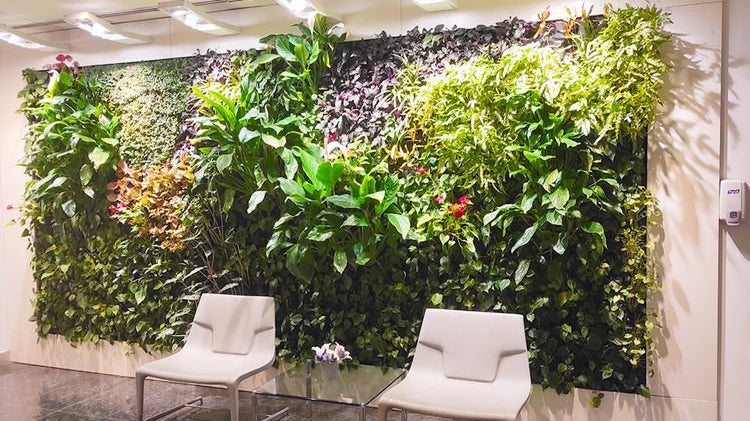 uniflora-green-wall