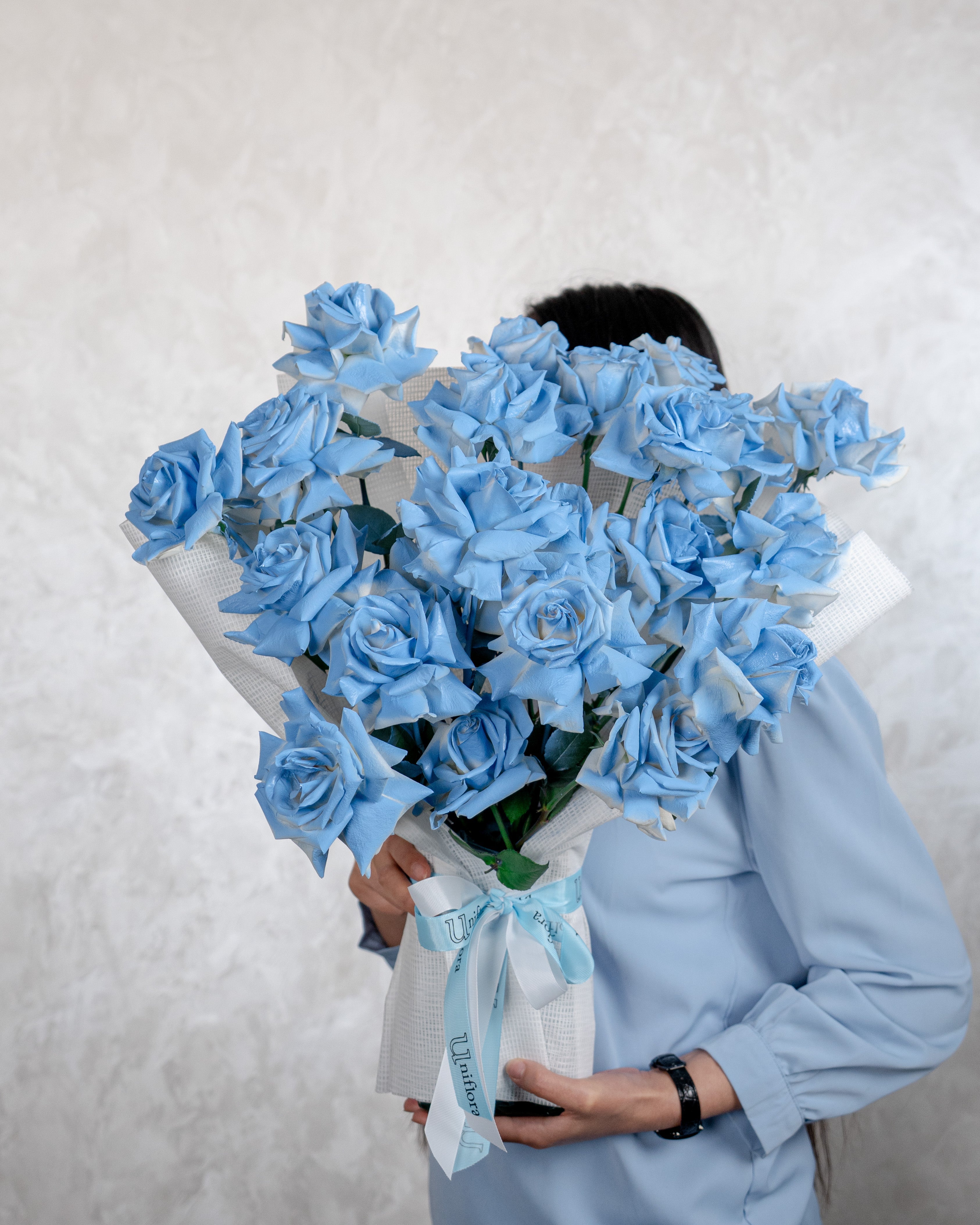 20 Rose Baby Blue - Uniflora