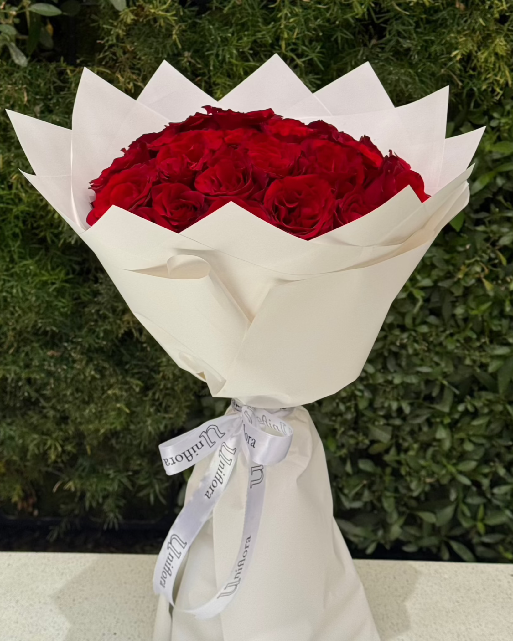 25 Red Roses bouquet, 25 red roses bouquet, from Uniflora Dubai (alternate view)