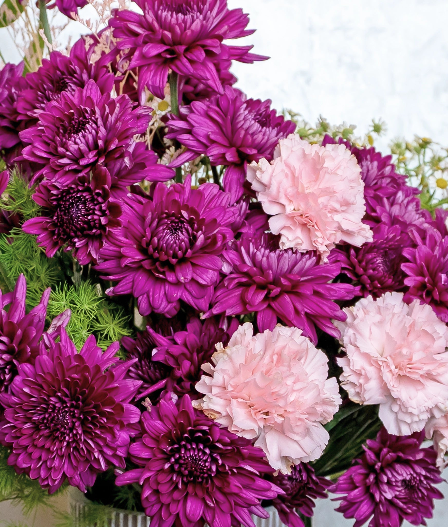 Amethyst Mums - Uniflora