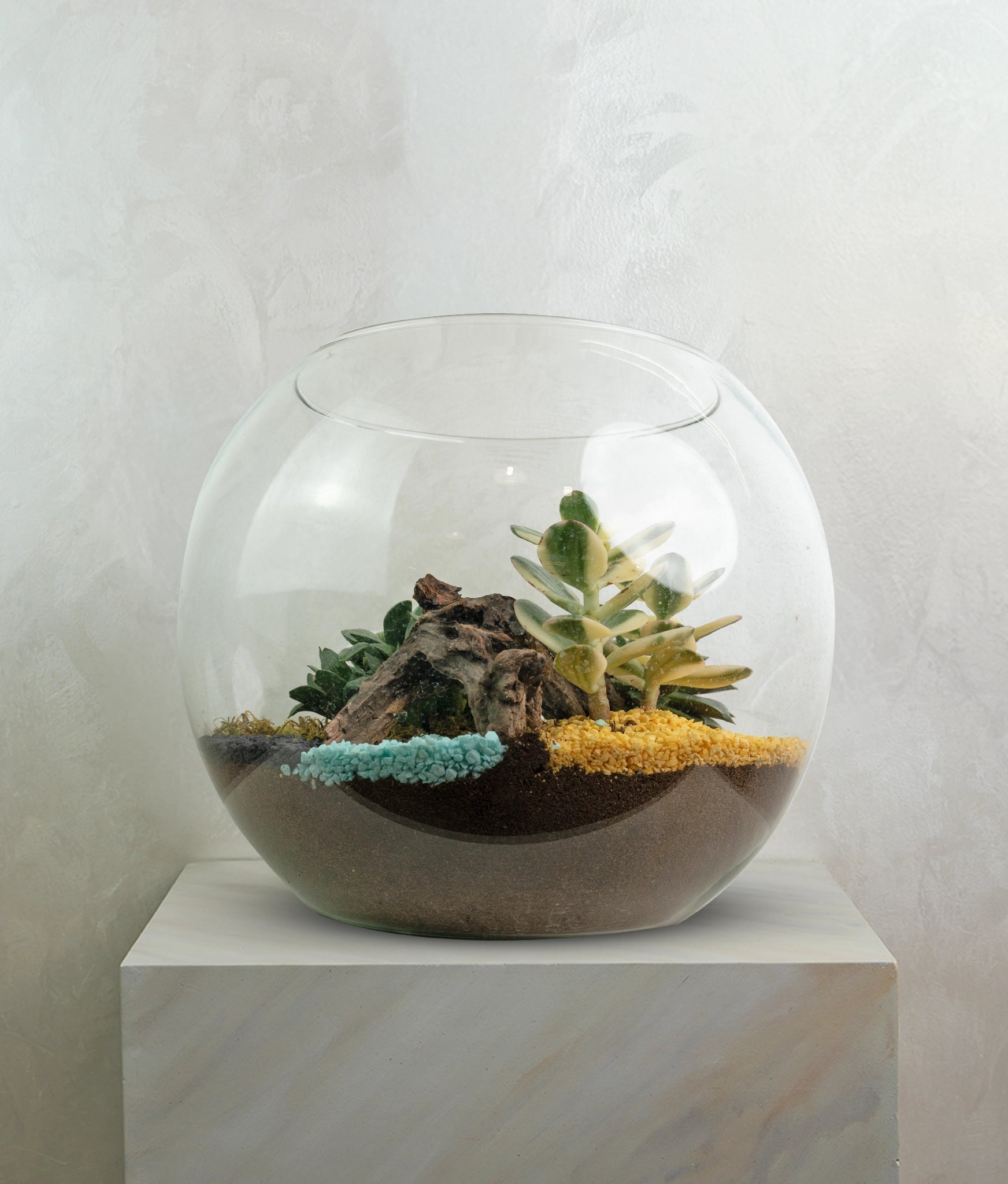 Beach Terrarium - Uniflora