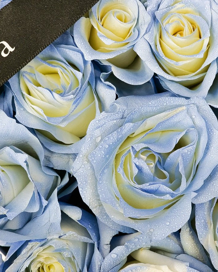 Blue Heart Box - Uniflora