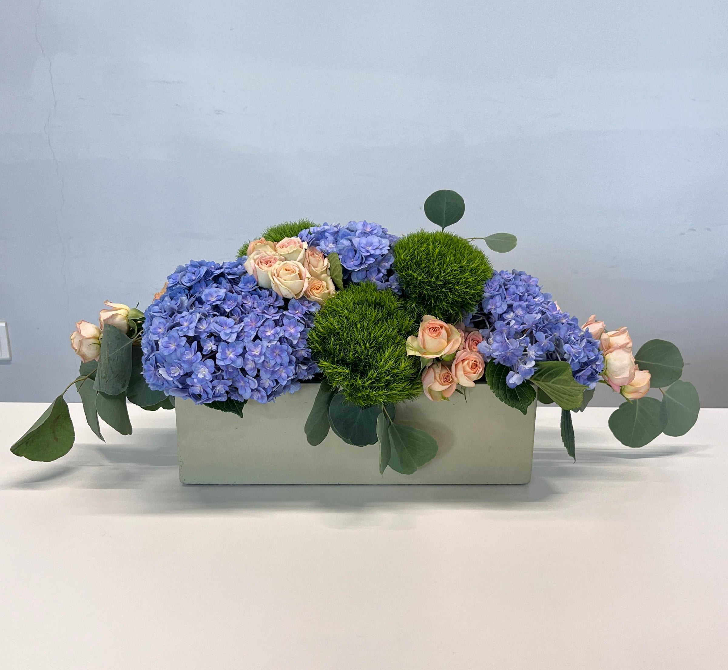 Blue Mirage - Uniflora