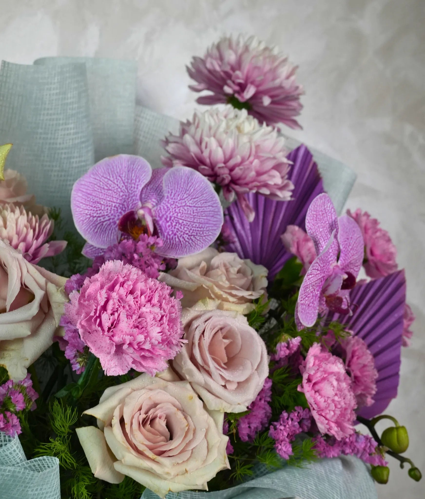 Blush Breeze - Uniflora