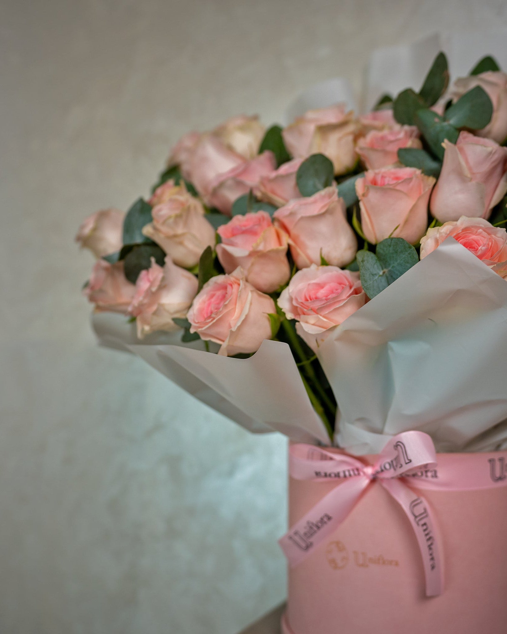Blush Garden - Uniflora