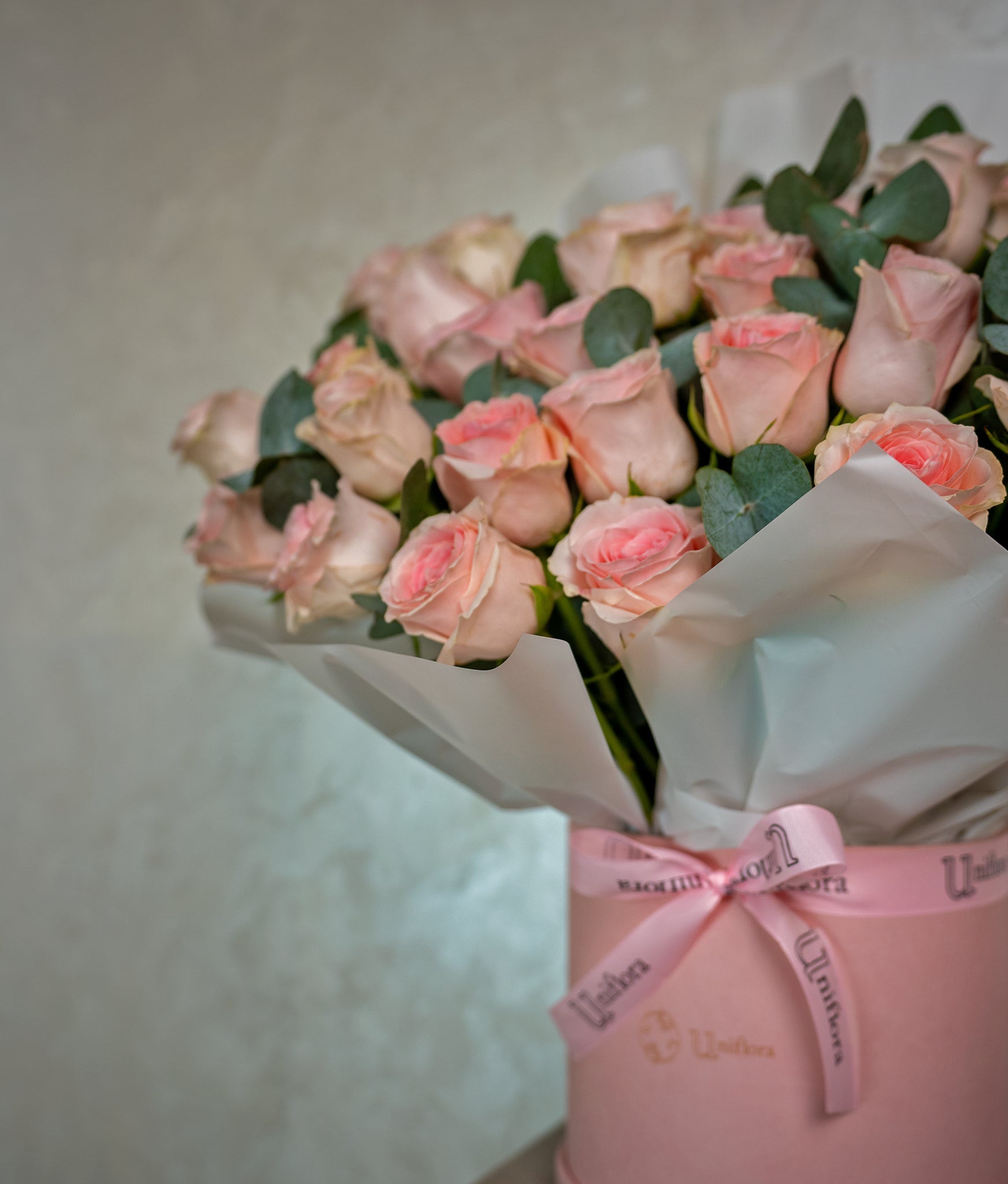 Blush Garden - Uniflora