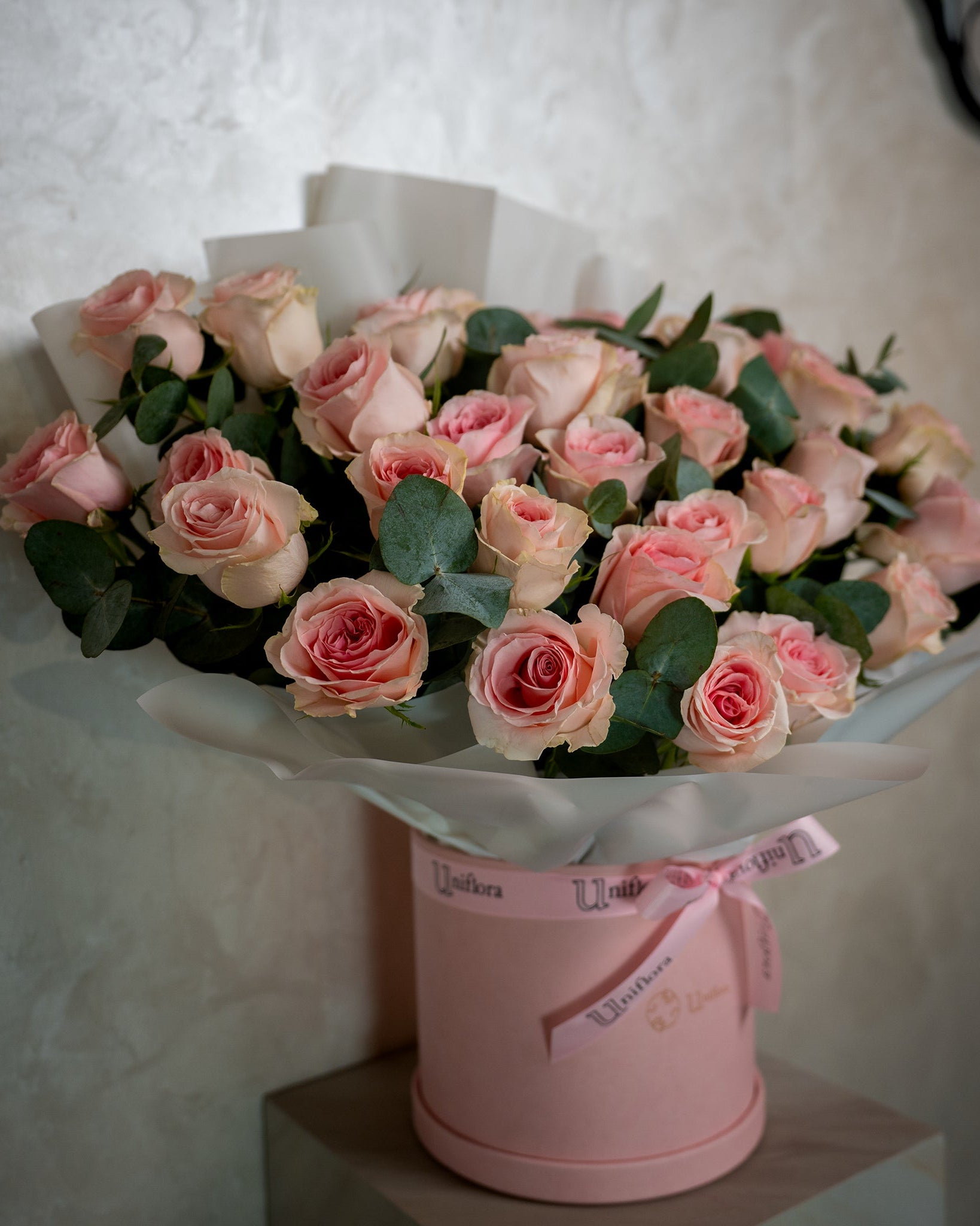 Blush Garden - Uniflora