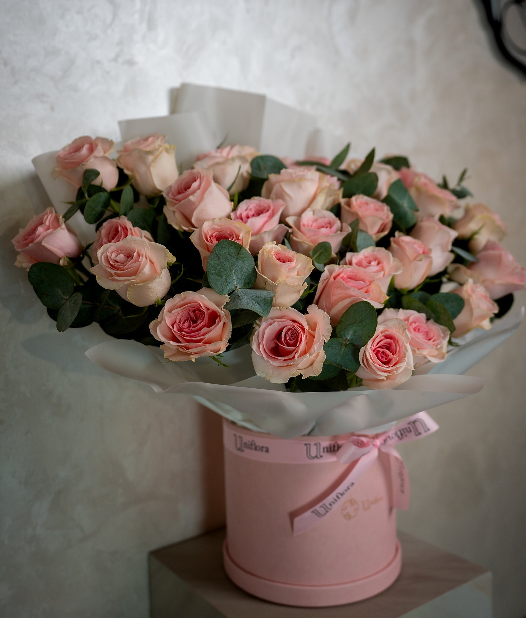 Blush Garden - Uniflora