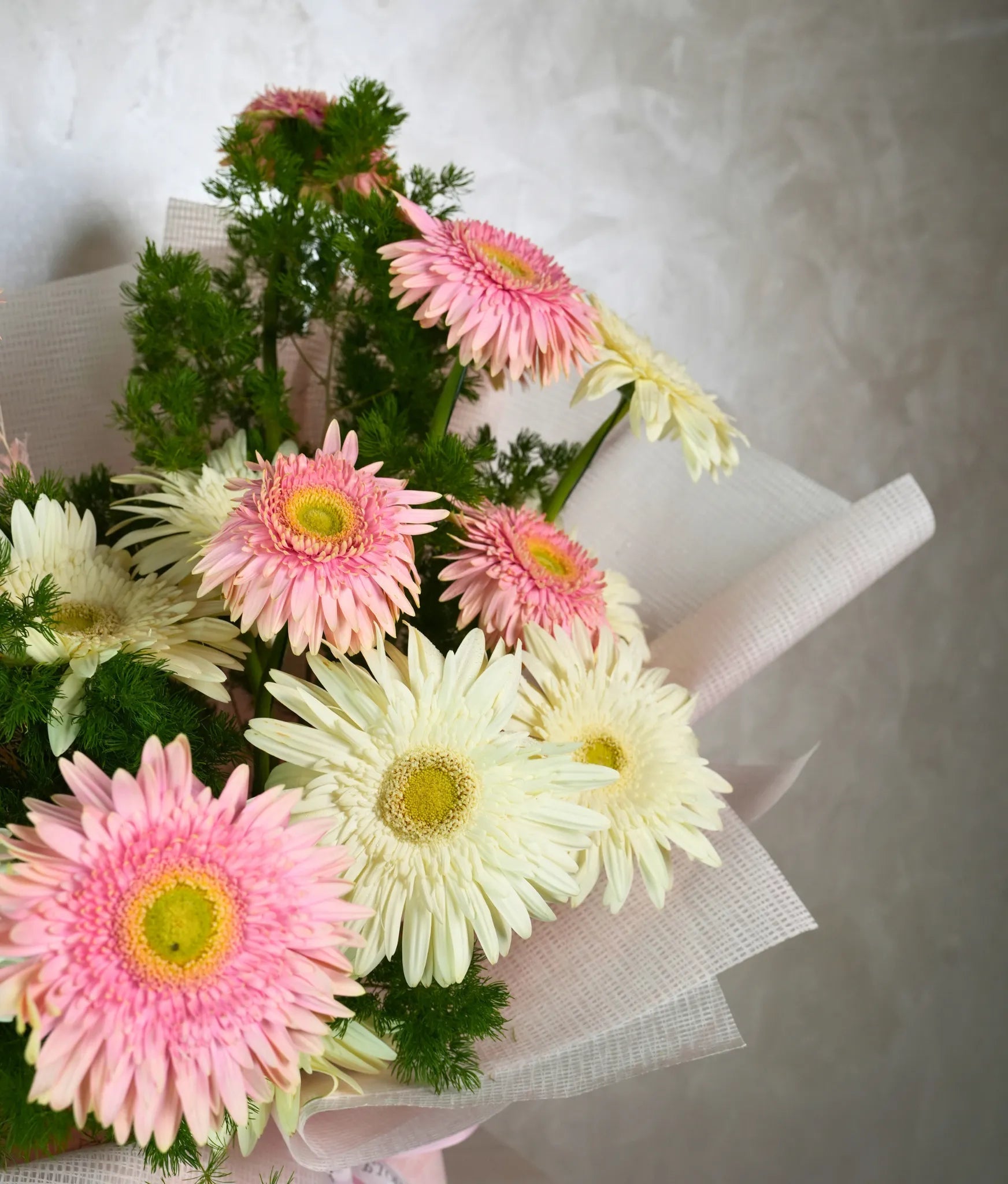 Bubbly Gerberas - Uniflora
