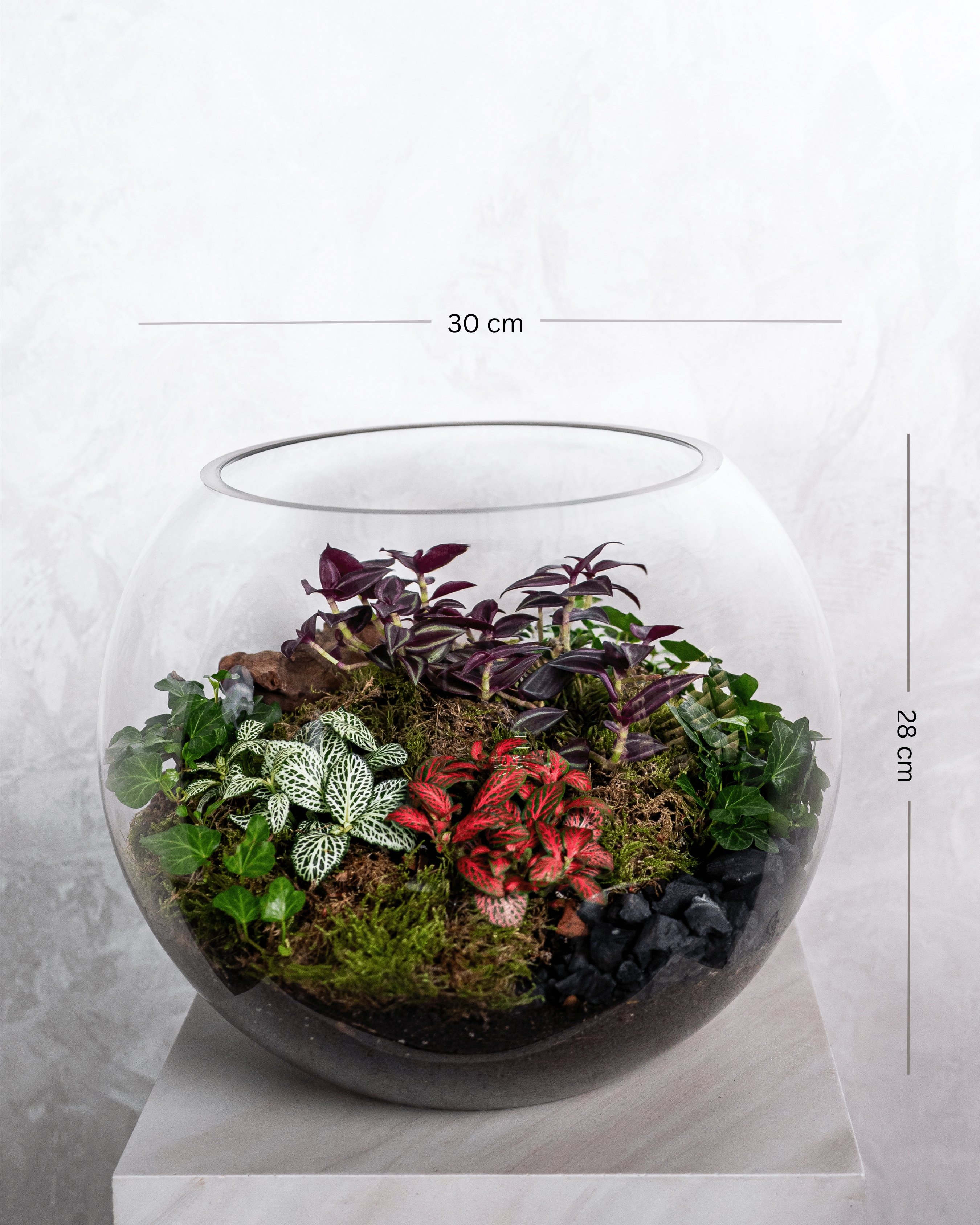Cheerful Foliage Terrarium - Large - Uniflora