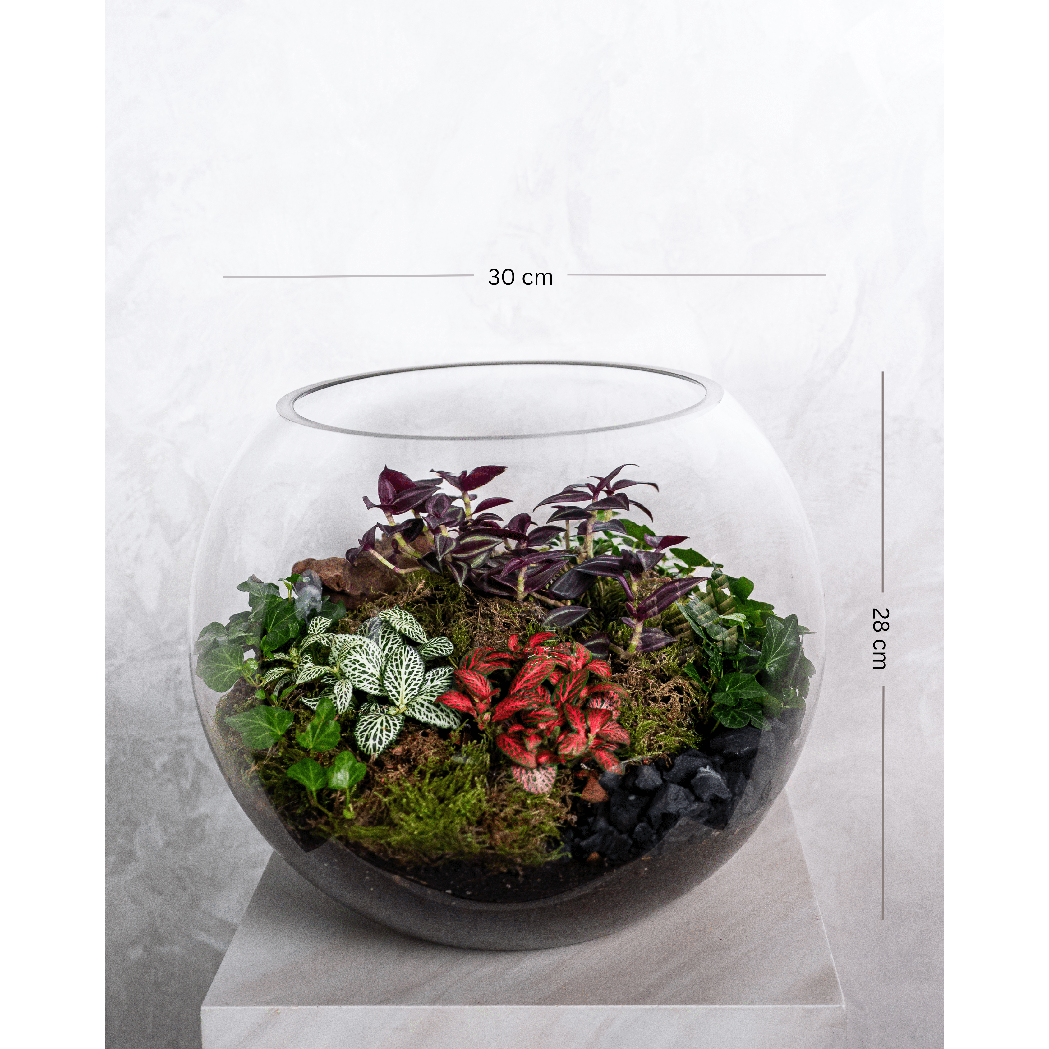 Cheerful Foliage Terrarium - Large - Uniflora