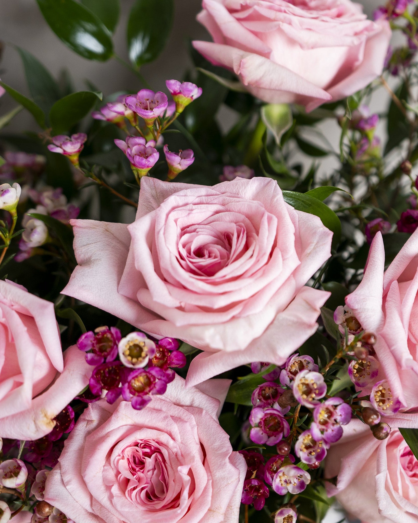 Classic Roses in Vase - Uniflora