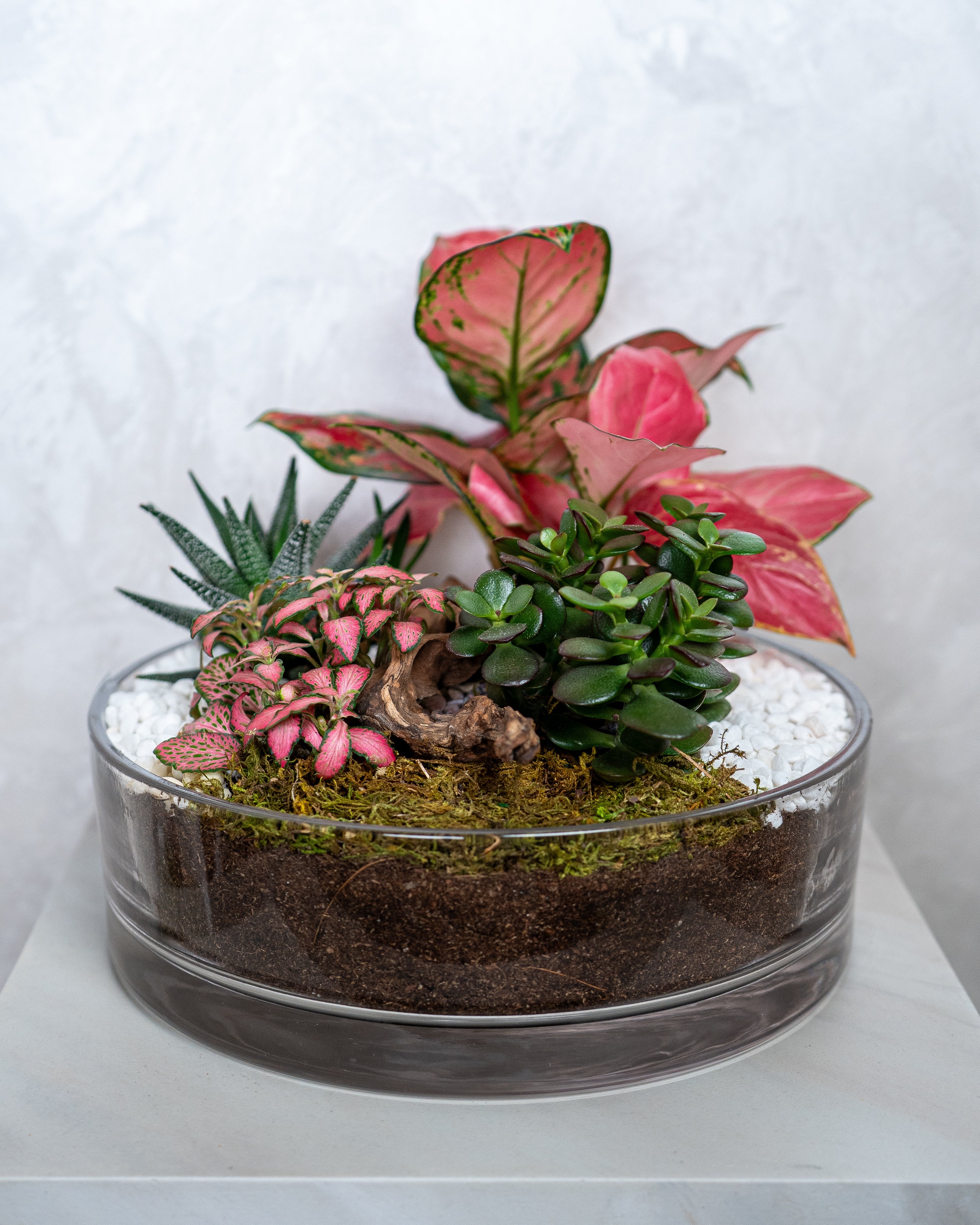 Crimson Garden - Uniflora