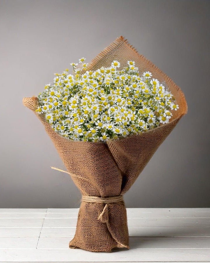 Crystal Chamomile - Uniflora