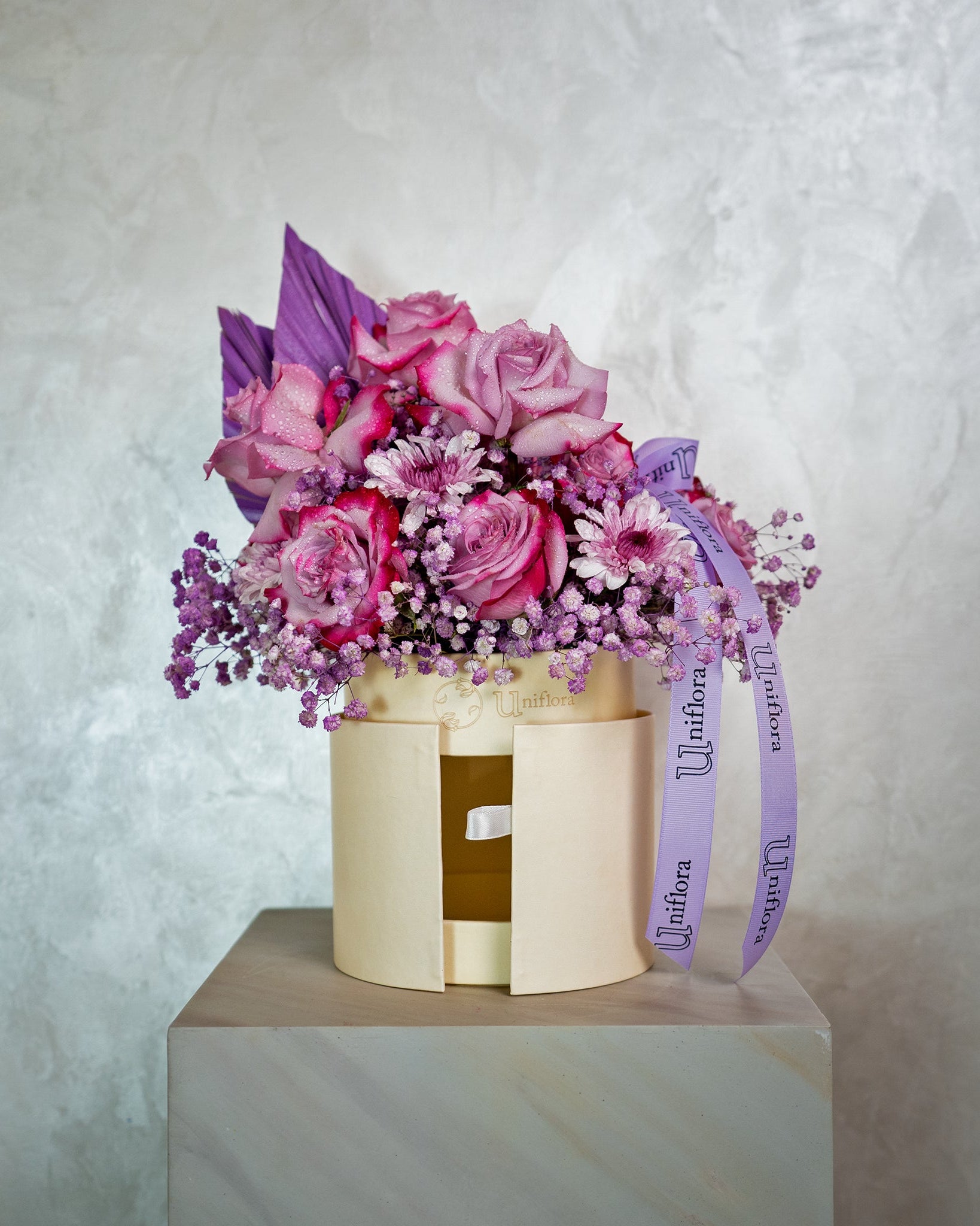 Midnight Violet - Uniflora
