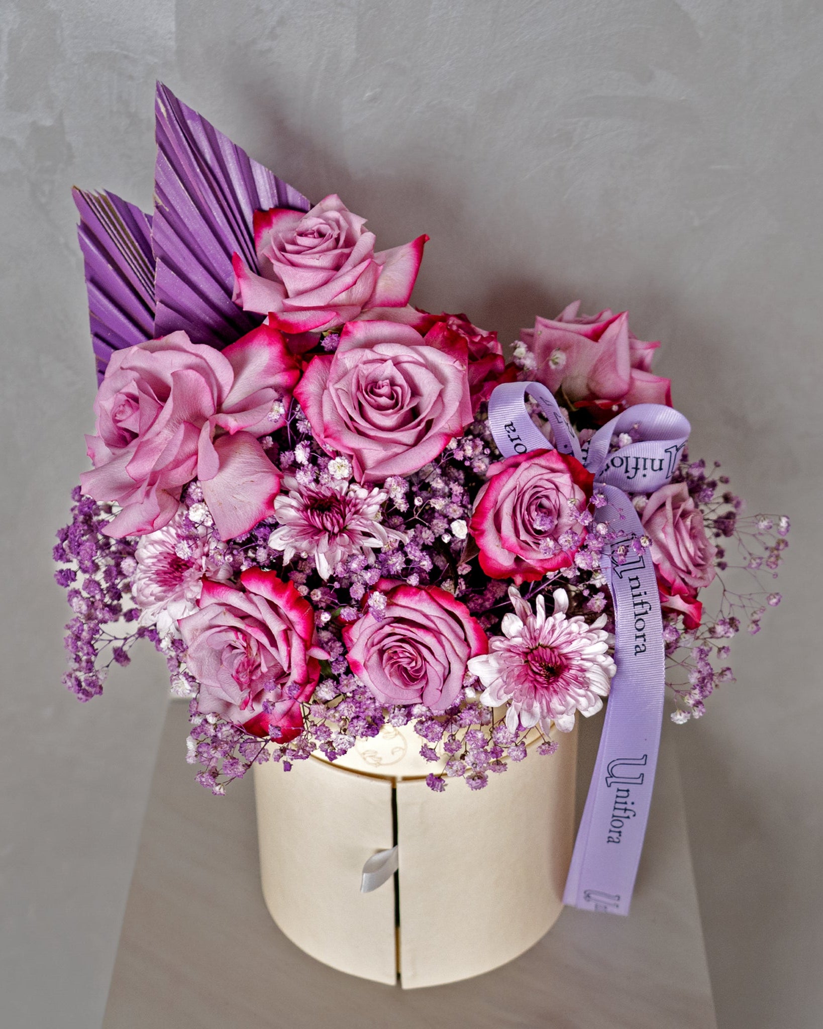 Midnight Violet - Uniflora