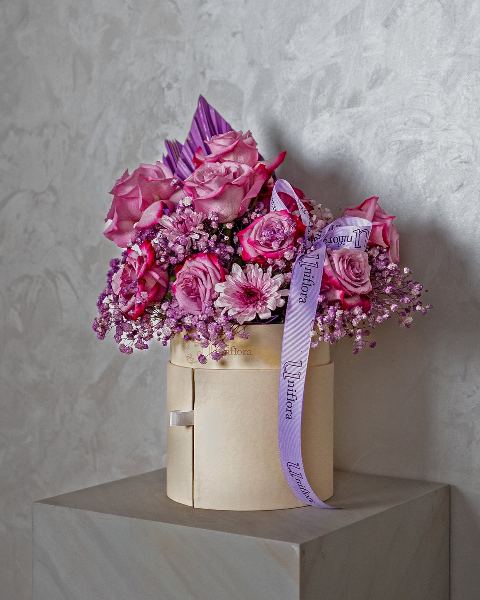 Midnight Violet - Uniflora