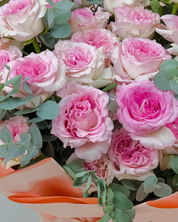 Pink Paradise - Uniflora