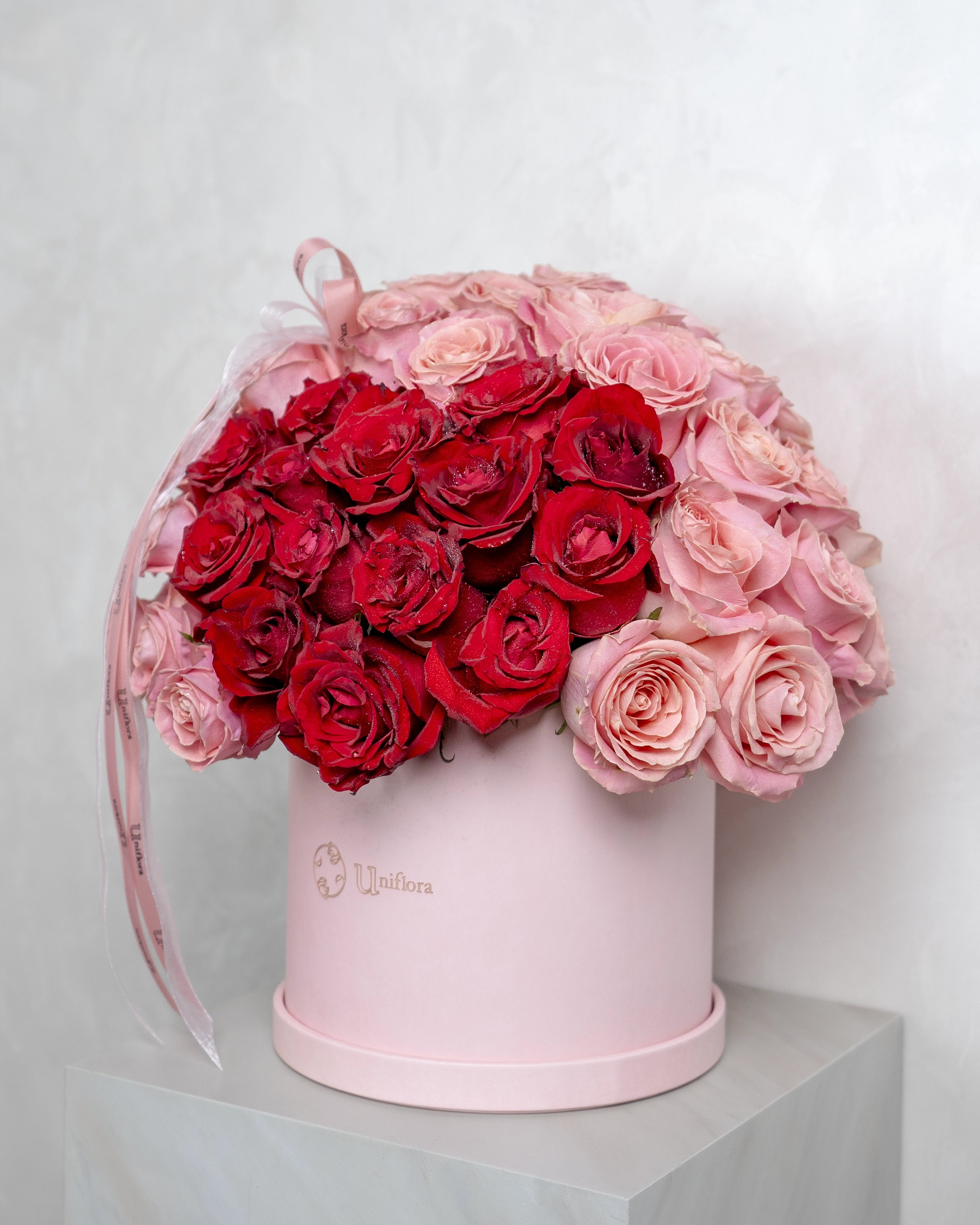 Pink Rose Love - Uniflora