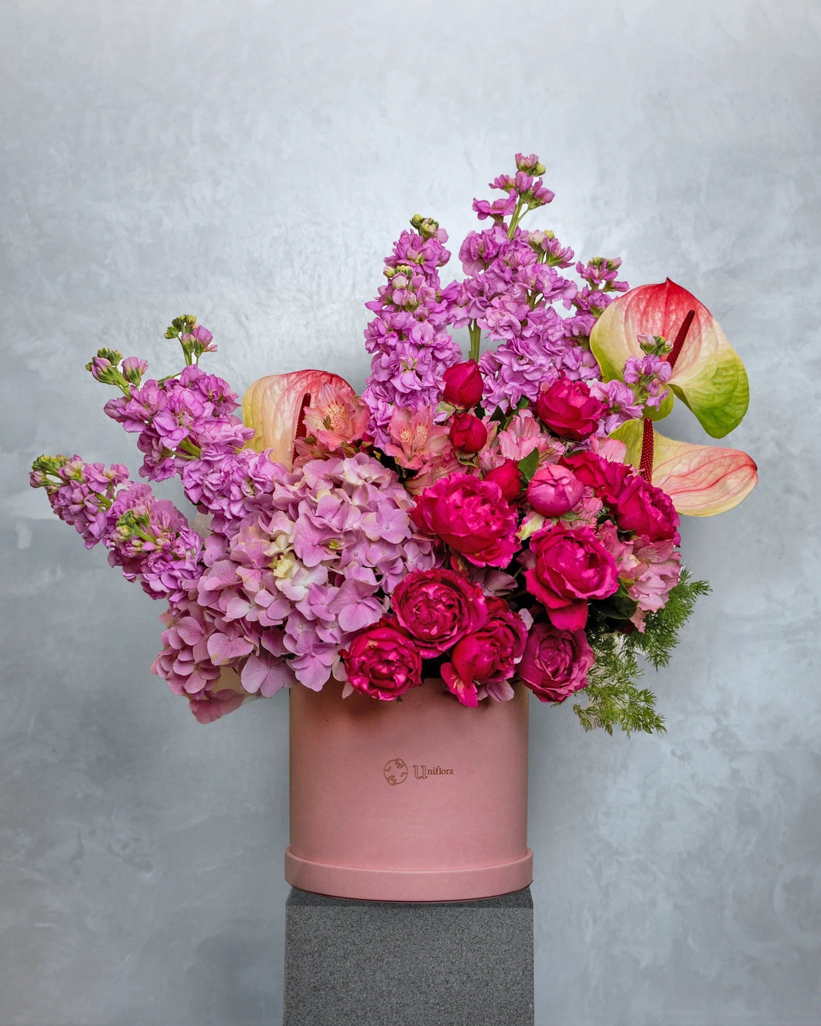 Plum Forever - Uniflora