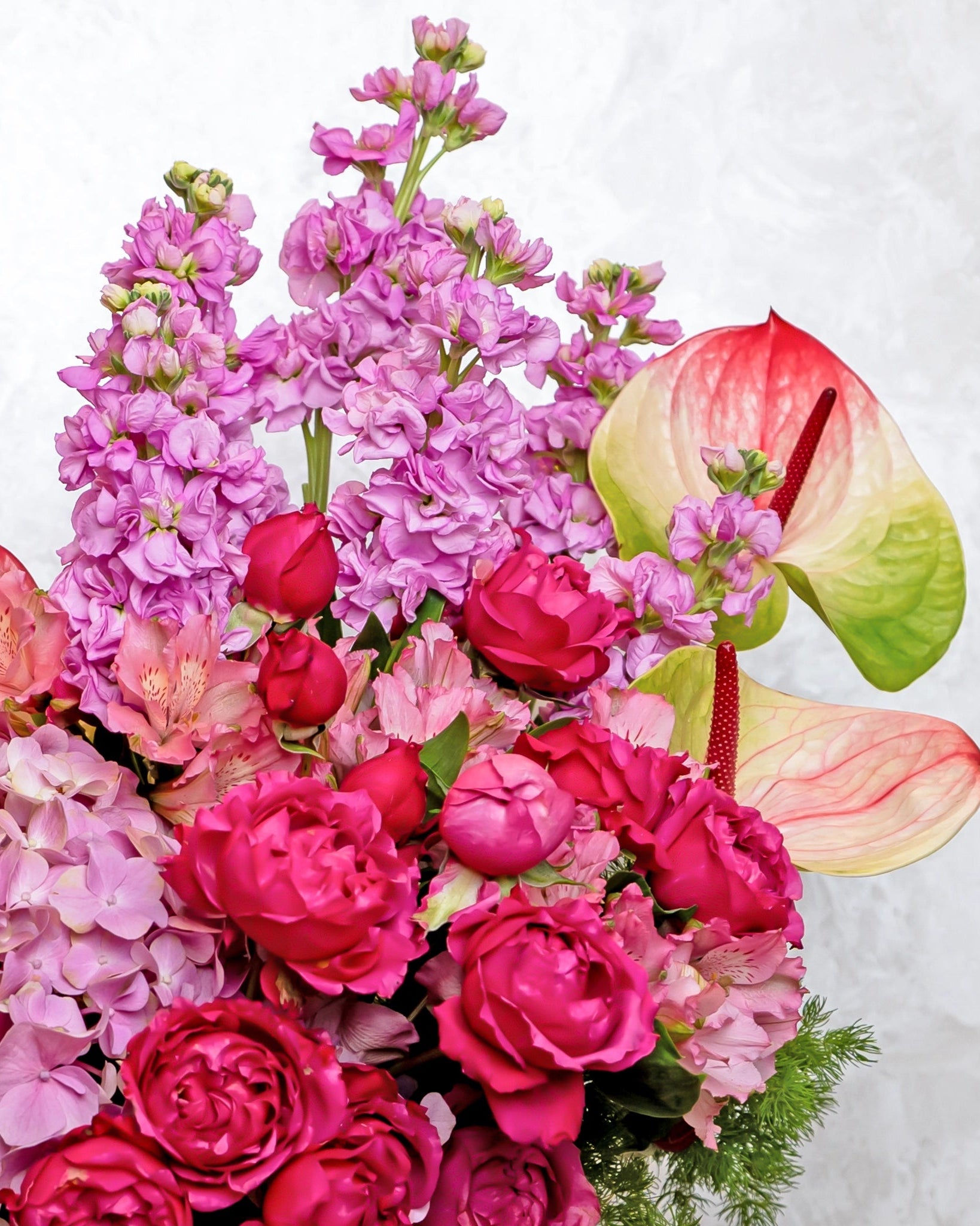 Plum Forever - Uniflora