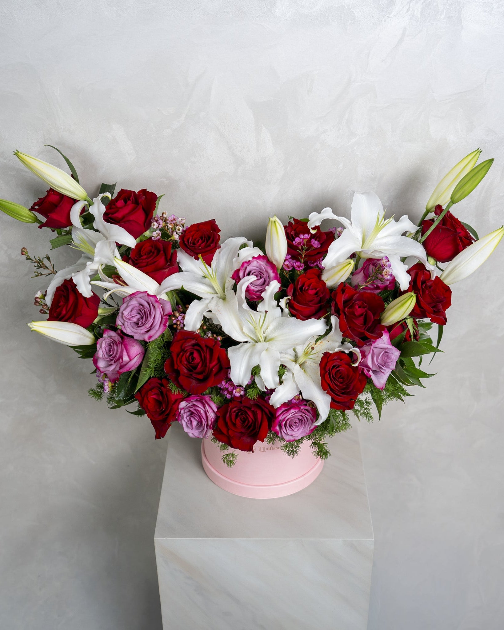Pretty Lily - Uniflora