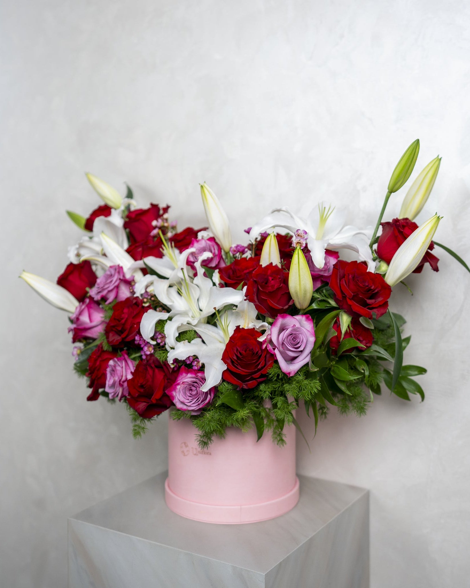 Pretty Lily - Uniflora