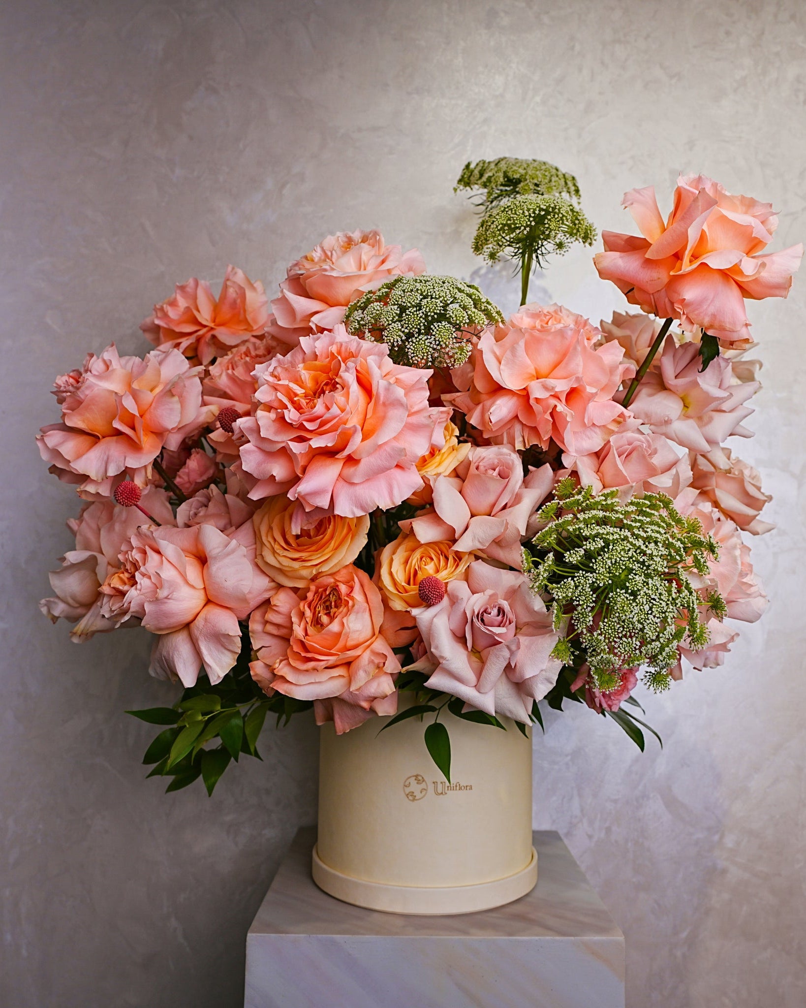 Princess - Uniflora