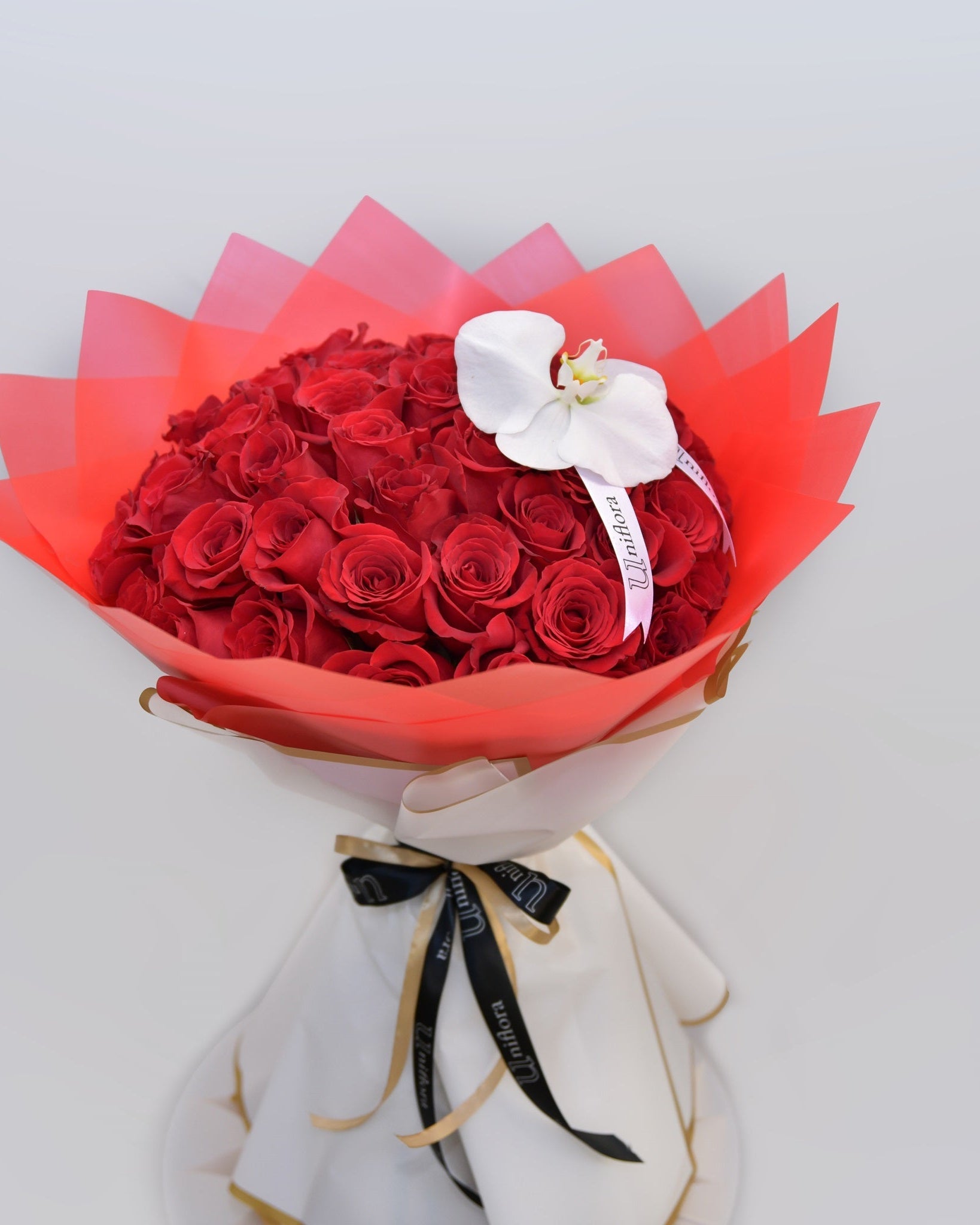 Red Rose Radiance - Uniflora