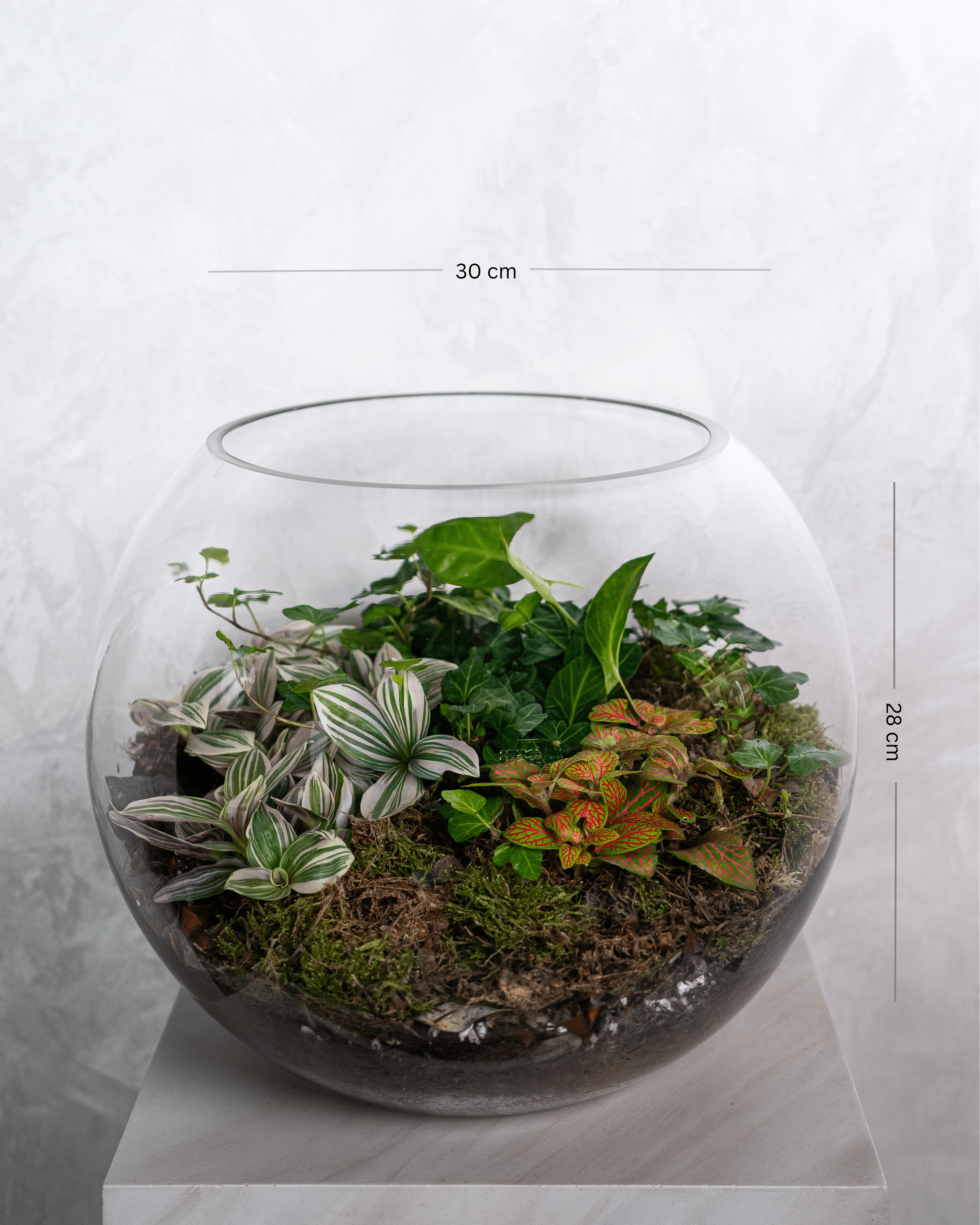 Soft Harmony Terrarium - Large - Uniflora