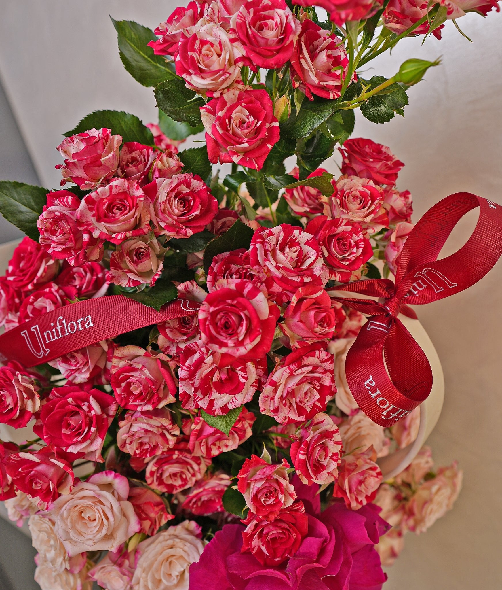 Strawberry Sorbet - Uniflora