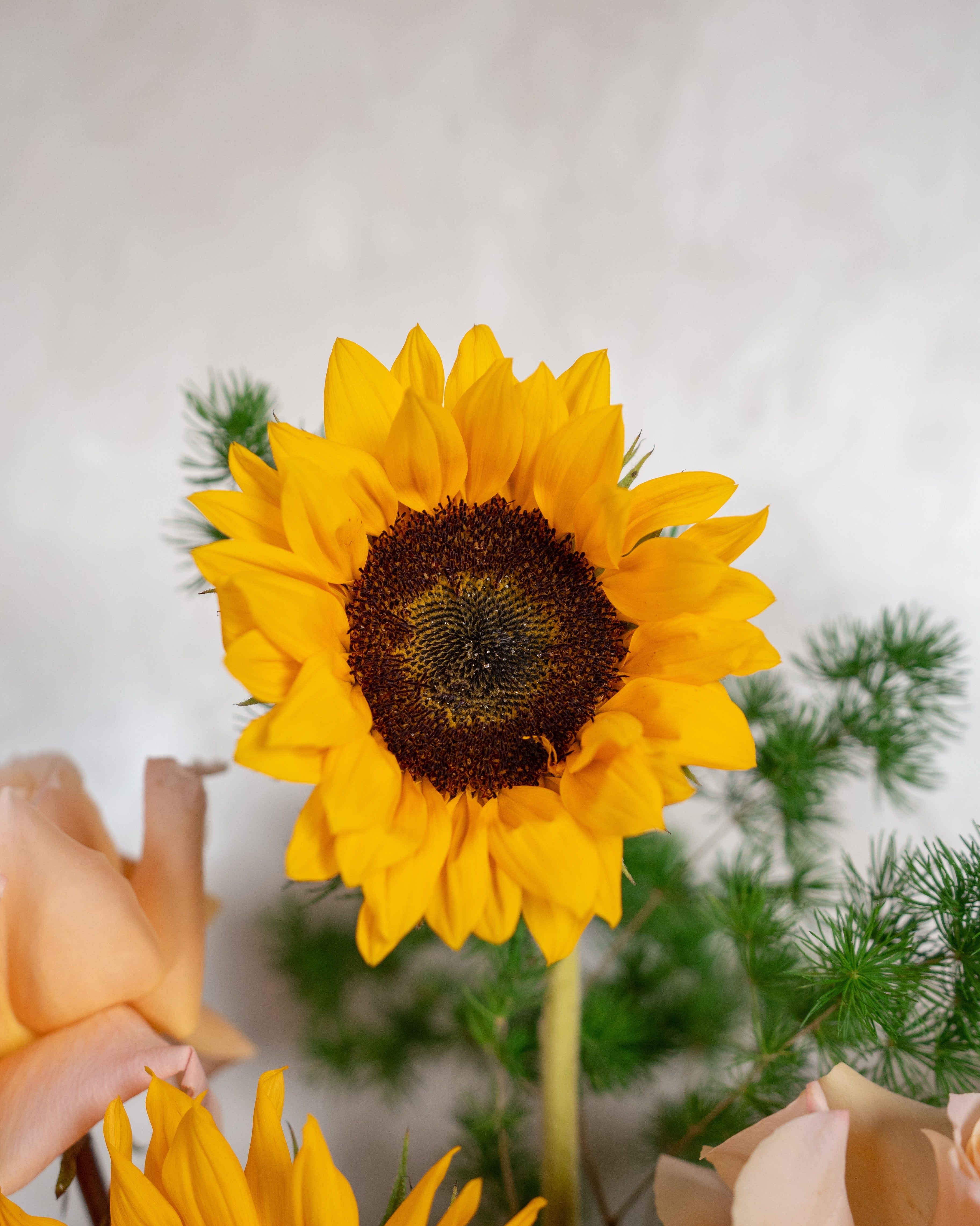 Sunflower & Rose Box - Uniflora