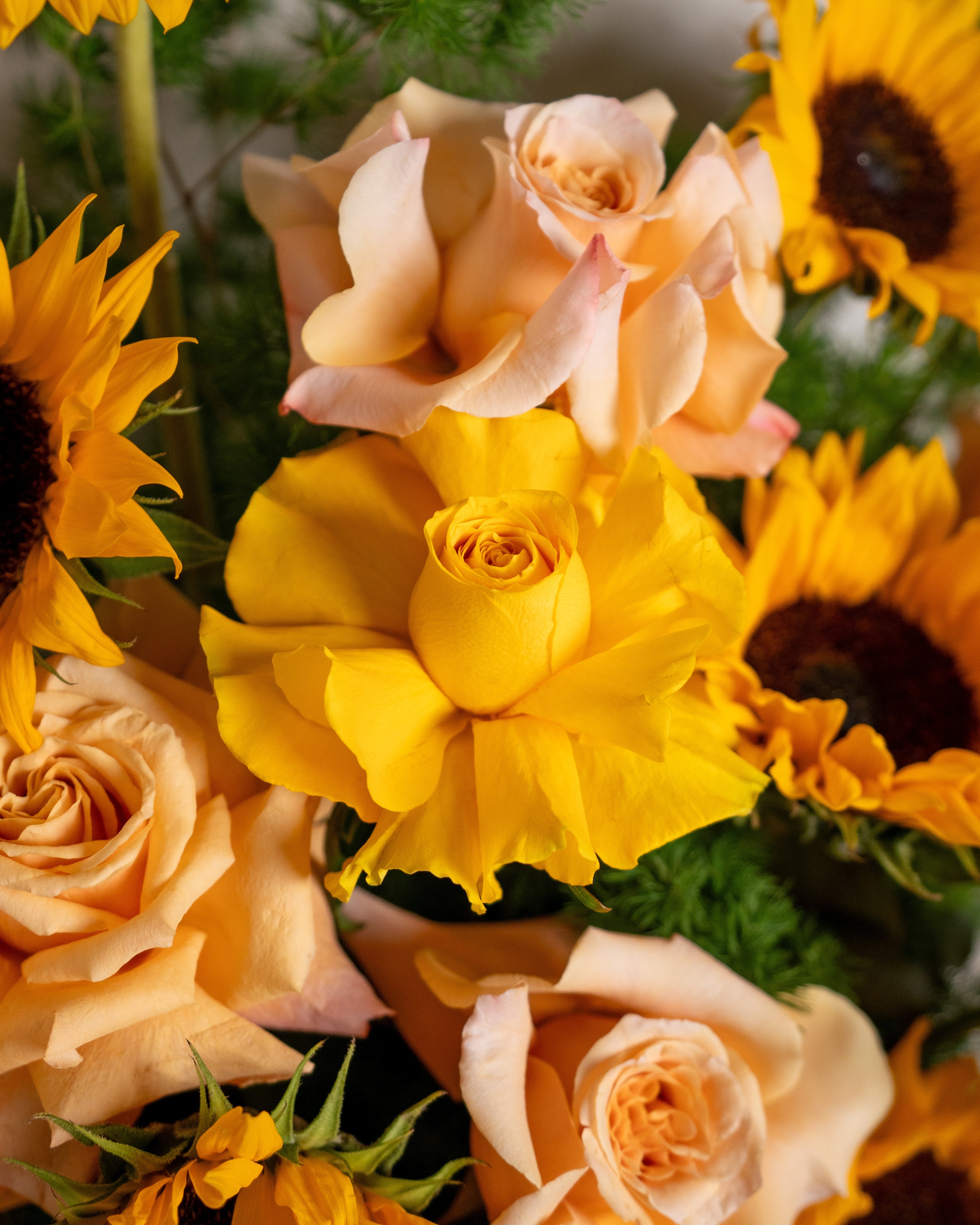 Sunflower & Rose Box - Uniflora