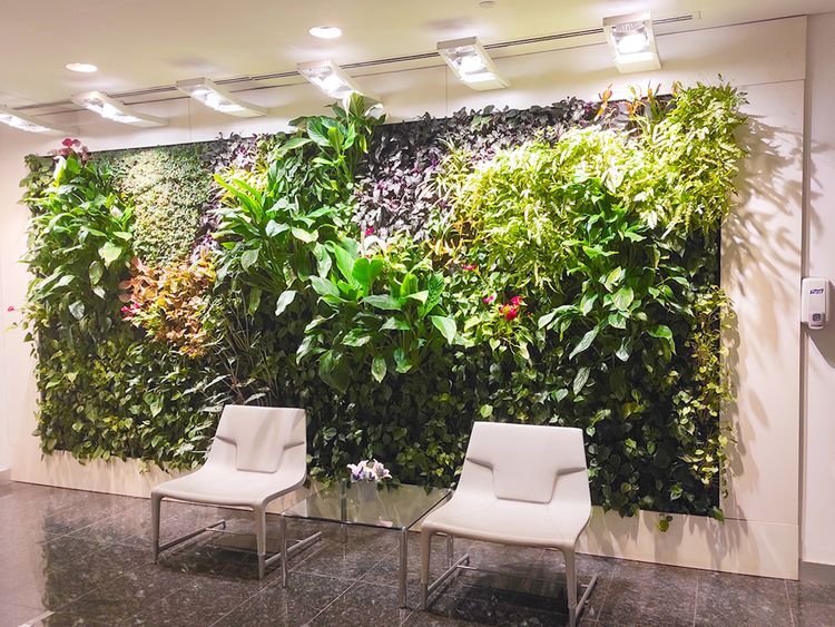 Bespoke interiorscapes for corporate and residential applications - Uniflora