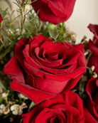 12 Red Roses Bouquet - Uniflora