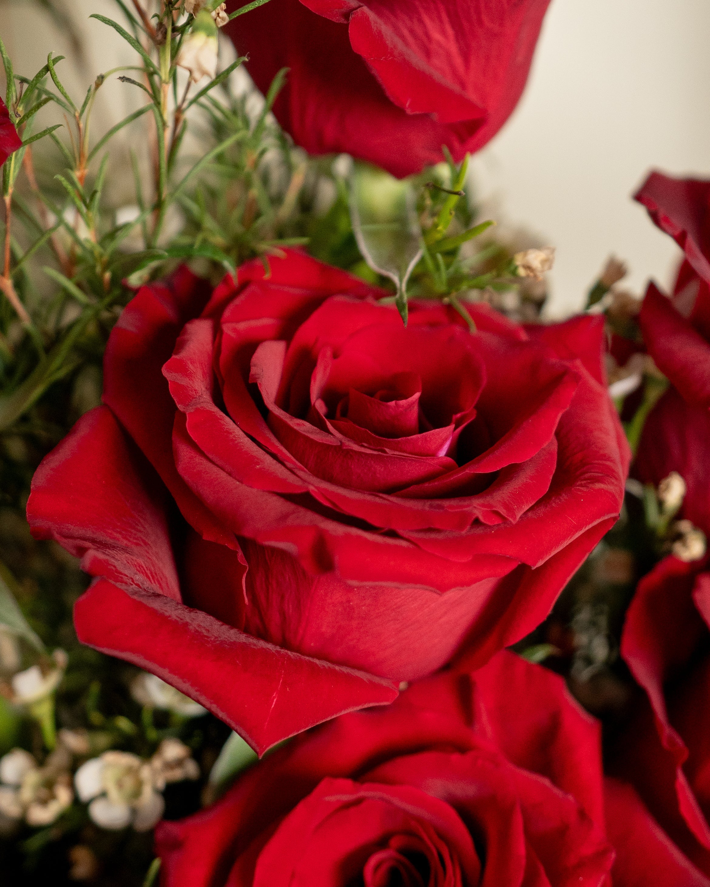 12 Red Roses Bouquet - Uniflora