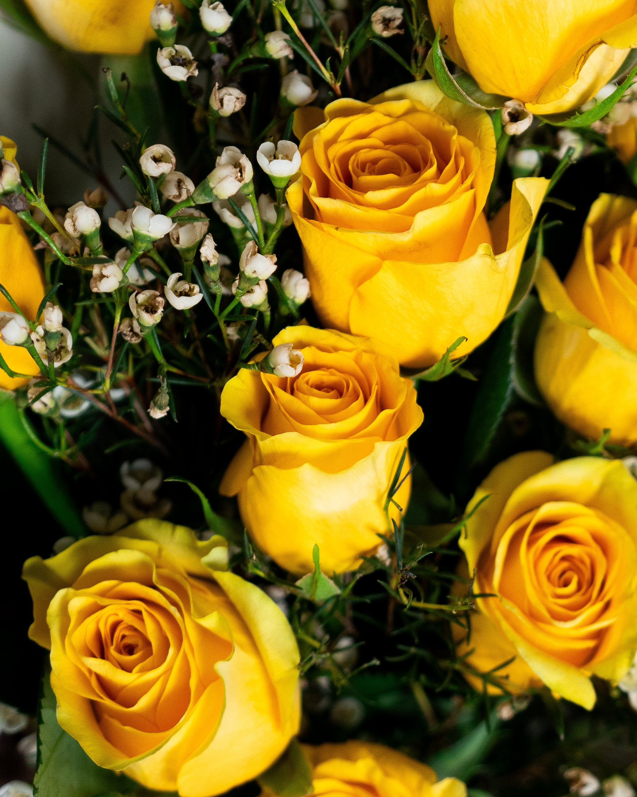 12 Yellow Roses Bouquet - Uniflora