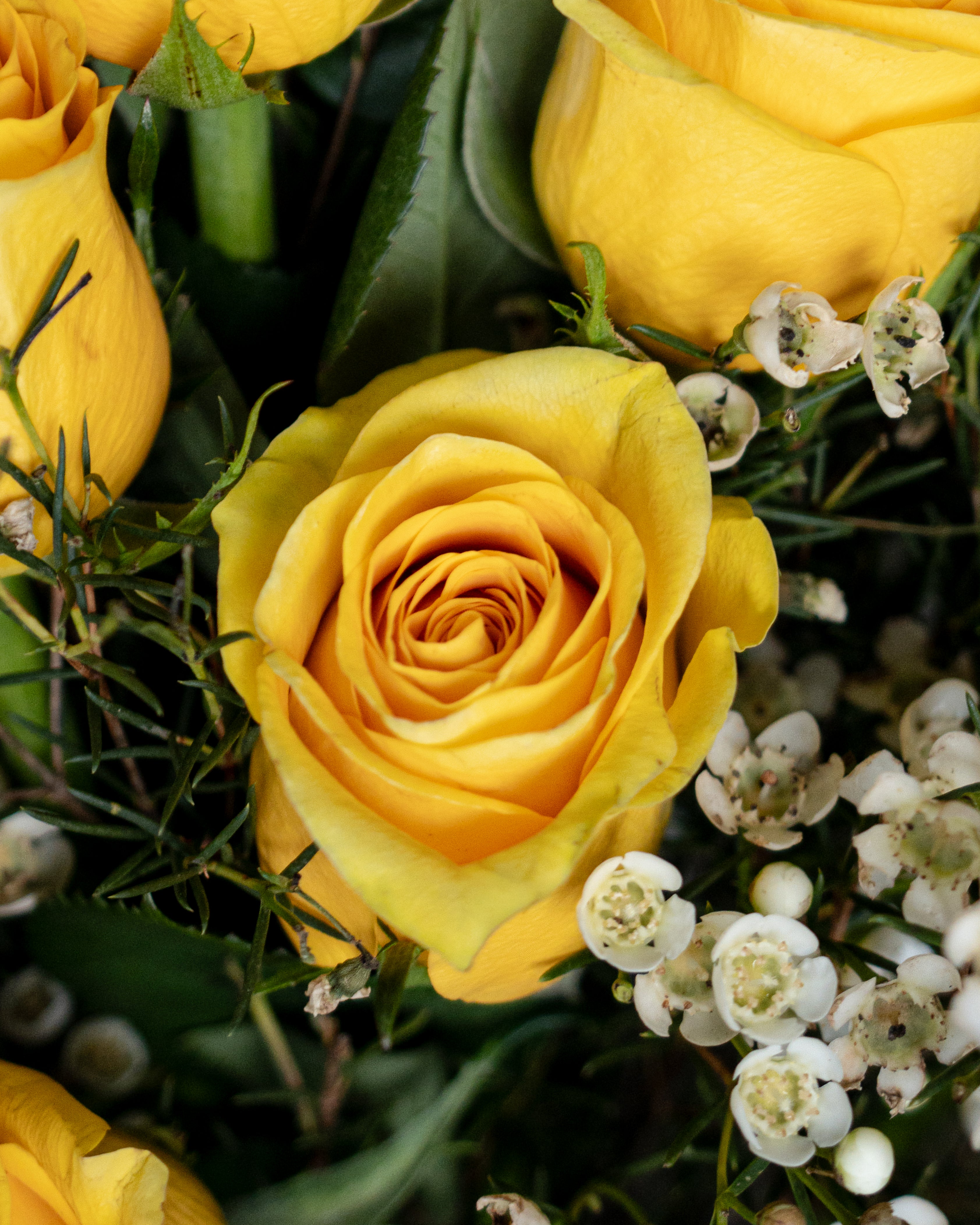 12 Yellow Roses Bouquet - Uniflora