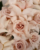 20 Rose Pastels - Uniflora