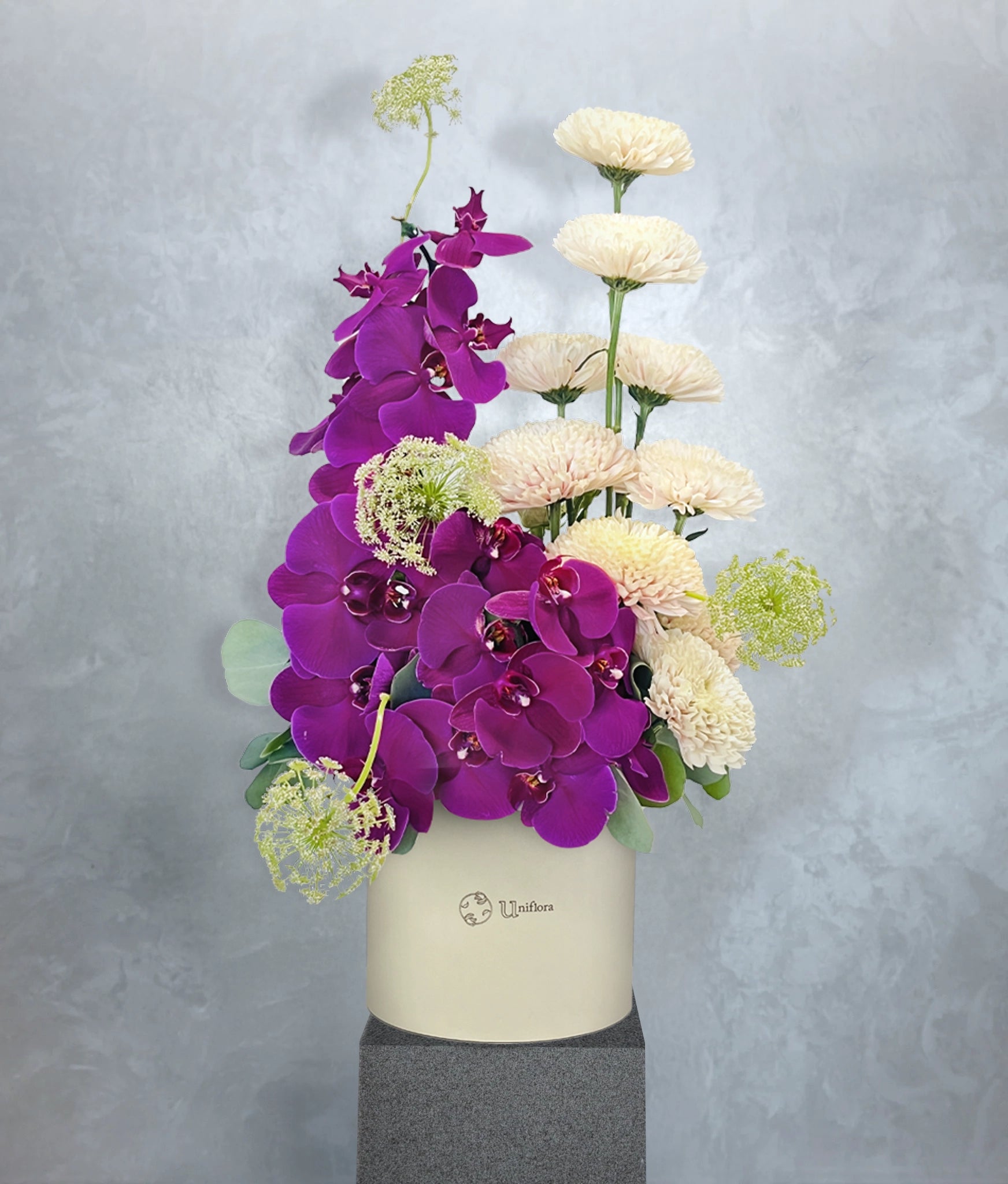 Orchids Aura