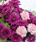 Amethyst Mums - Uniflora