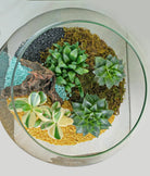 Beach Terrarium - Uniflora
