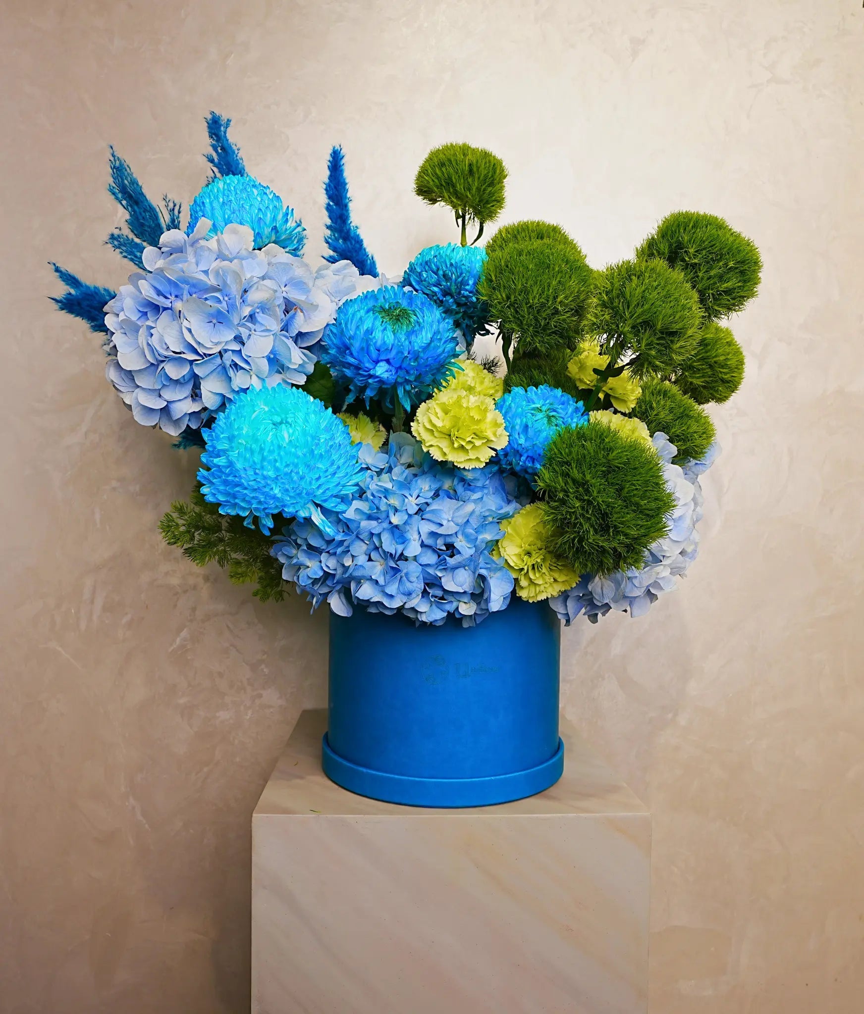 Blue Azurea - Uniflora
