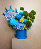 Blue Azurea - Uniflora