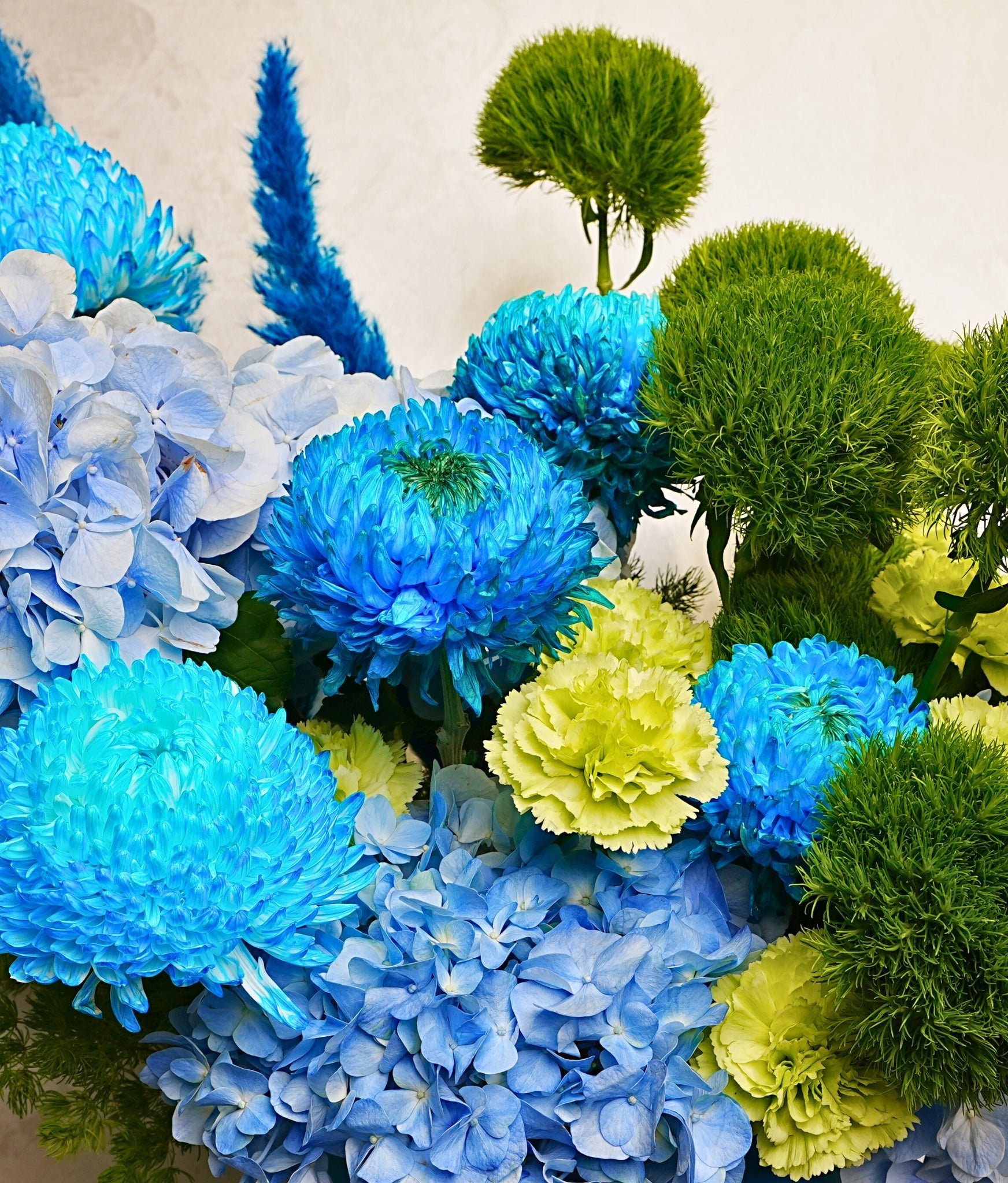 Blue Azurea - Uniflora