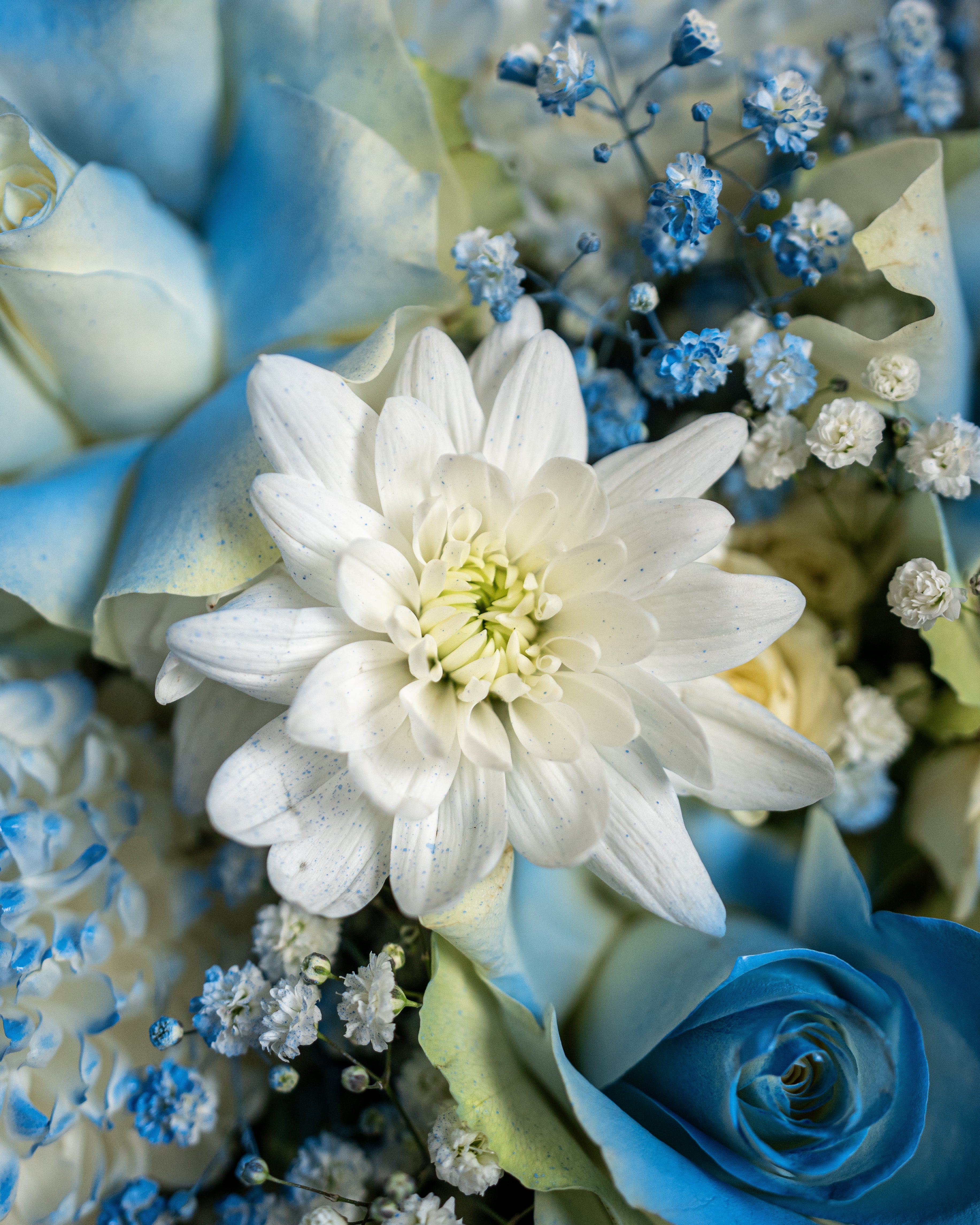 Blue Bloom Bouquet - Uniflora