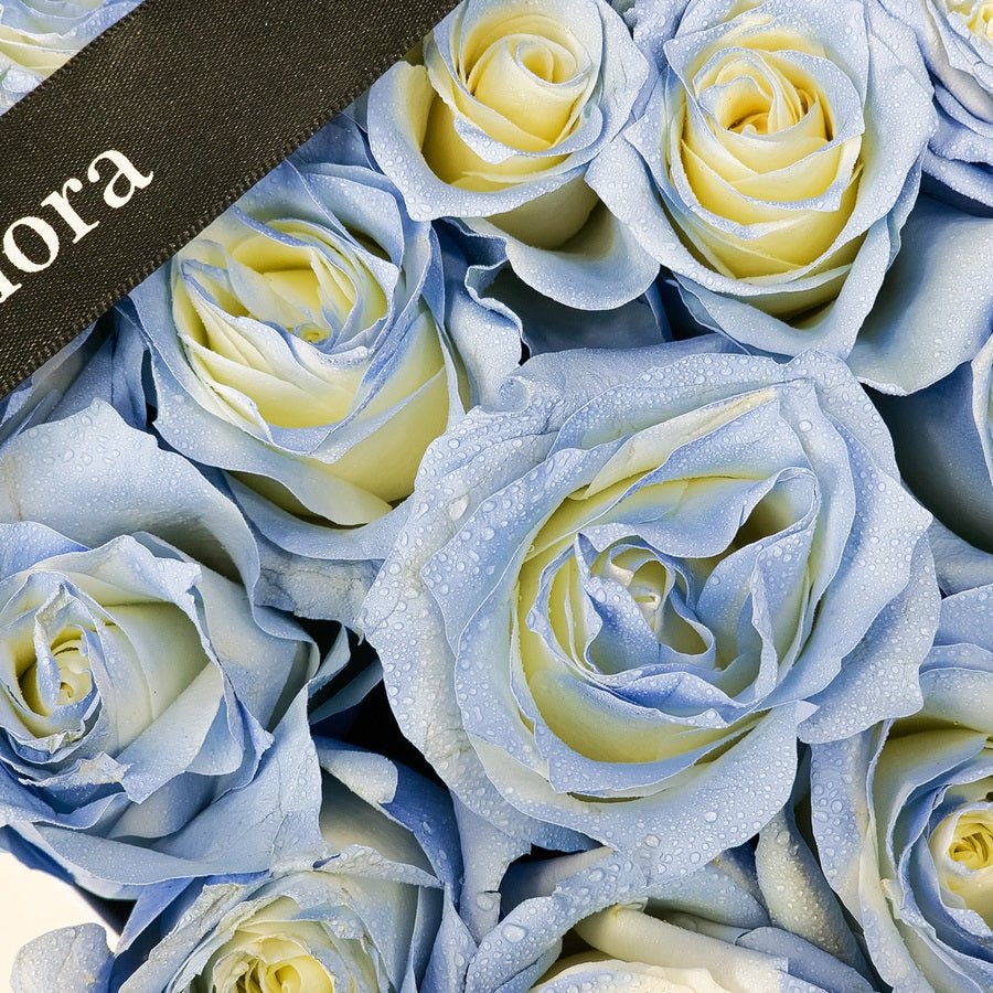 Blue Heart Box - Uniflora