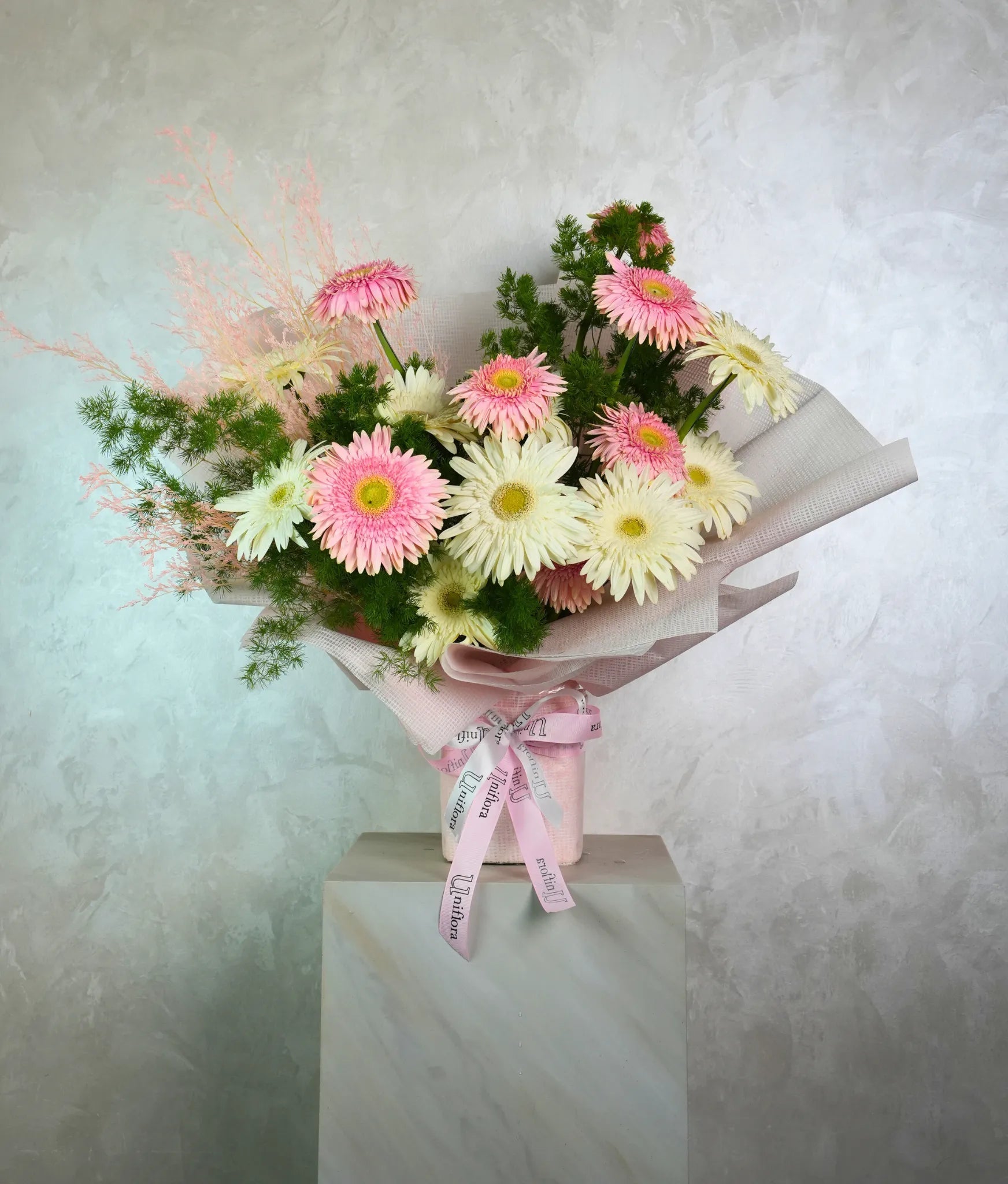 Bubbly Gerberas - Uniflora