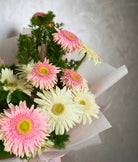 Bubbly Gerberas - Uniflora